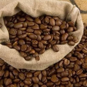 arabic coffee beans