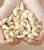Import Top Quality Cashew Nut Raw Bulk Cashews Raw Cashew Nuts Prices Offered Dried Fruits Nuts from Germany