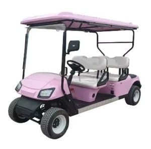 Low Price Electric Transport Vehicle Community Part Bus 4 Seater Golf Cart