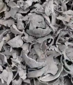 Coconut Shell Charcoal