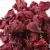 Import Hibiscus flower from Nigeria