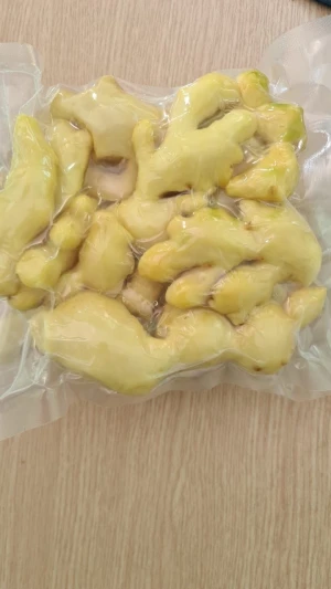 Need An Outlet For Premium Quality Frozen Ginger in Vietnam