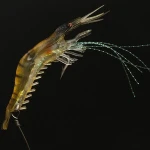10cm 6g soft plastic silicone shrimp fishing lures