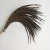 Import 110cm Gold Pheasant Feather Reeves Pheasant Tail Feather from China