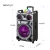 Import 12inch plastic BT rechargeable trolley speaker portable audio equipment sound with Colorful lights from China