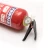 Import 1KG 30% BC DRY POWDER FIRE EXTINGUISHER from China