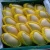 Import 2018 Fresh Mango / Freeze Dried Mango / Canned Mango from Brazil
