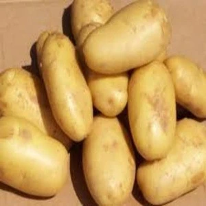 2018 new crop fresh potato at cheap price