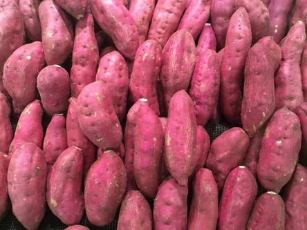 2020 New crop of Vietnamese Sweet Potato at good price !!