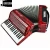 Import 3224 32 keys 24 bass keyboard type professional performance accordion from China