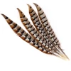35-40CM Hot selling Feather Wholesale Natural Reeves Pheasant Tail Feathers for hat, pen,DIY accessories and Indian costumes