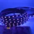 Import 5m 16.4ft 12v 24v smd 5050 flexible purple Germicidal uv-c uvc led light strips from China