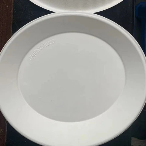 9" Sugarcane Plate