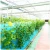 Import agricultural greenhouse morocco hydroponics grow kit for fruits in ghana from China
