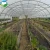 Import Agricultural low cost single span plastic film greenhouse from China