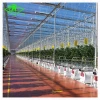 Agricultural vegetable film greenhouse with PO film