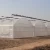 Import Agriculture multi-span arch plastic film Greenhouse tomato greenhouse and strawberry greenhouse turnkey project from China