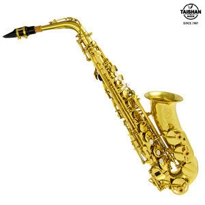 Alto Saxophone with Zippered Hard Case and Accessories TSAS-667