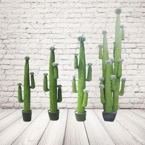 Amusement Park Decoration Cactus Plants
