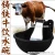 Import animal drinking water bowl from China