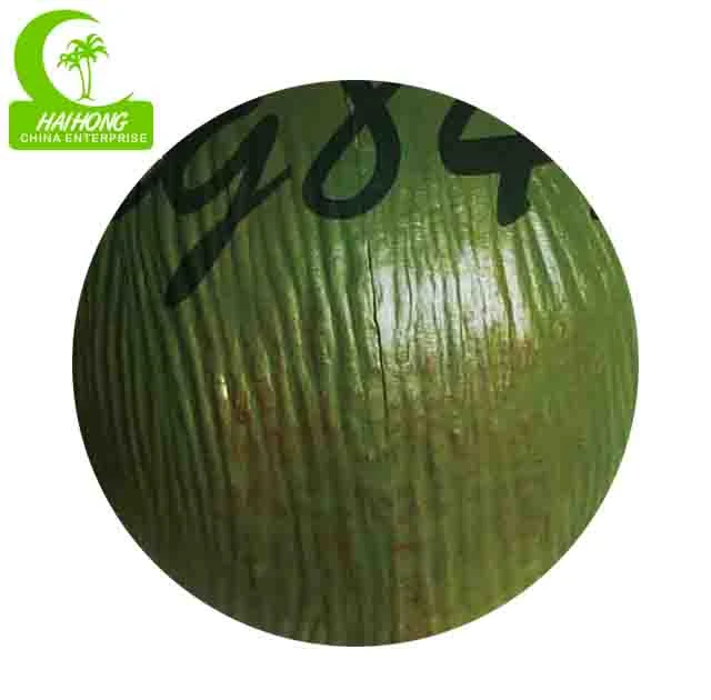 Buy Artificial Coconut Fruit Artificial Outdoor Coconut Fruit from