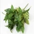 Import Artificial green wall hanging decorative green leaves artificial plants from China
