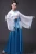 Asian Traditional Retro Dance Costume Chinese Style Fairy Folk Chiffon Dress Hanfu for Women Girl Embroidery Fancy Top Skirt Set