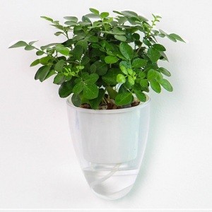 Auto Irrigate Flower Pot/Self-absorbing flower pot/Automatic watering pot