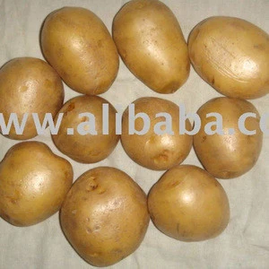 Bangladesh Good Quality Fresh Potato
