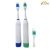 Import BD3002 2018 trending environment friendly products oral hygiene electric toothbrush from China
