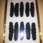 Best Price of Dried Sea Cucumber Black Stichopus Japonicus Type