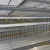 Import Best Quality Agriculture Farming Equipment layer quail cages from China
