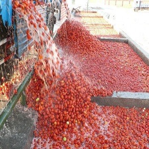 best quality tomato paste supplier for ketchup sauce country for thailand quality like nova soon packing glass jar