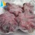 Import Best Seafood Frozen Seasoned Whole Cleaned Octopus from China