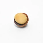 Best Selling High Quality Chinese Dry Roasted Macadamia Nuts in China