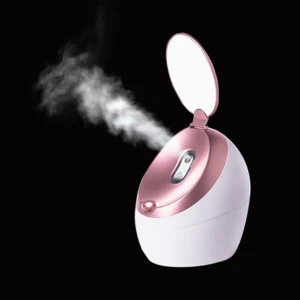 Best selling Professional mini nano ionic facial steamer