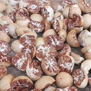 Betel Nut / Areca Nut best price