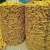 Biaxial Plastic Geogrid garden Poultry farming biaxial geogrid