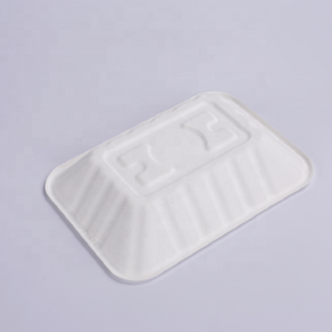 Buy Biodegradable Disposable Compostable Sugarcane Bagasse Paper Pulp ...