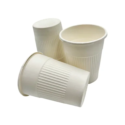 BPI Bagasse Sugarcane 100% Compostable 8oz Cup PFAS free Coffee Cup Takeaway Disposable Cup