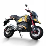 Brand new adult electric scooter motorcycle with CE certificatee