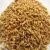 Import Bulk Malted Barley, Barley Grain Ready For Export!! from Netherlands