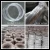 Import bwg20 flexible construction use electro galvanized iron wire price from China