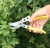 Import Bypass branch or flowers  pruner,  trim for branch secateur from China