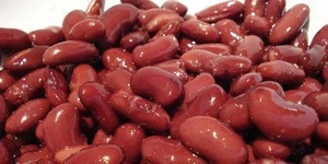 Canned kidney beans with best price for sale
