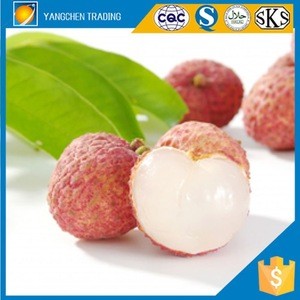 Canned lychee in preserved fruit wholesale products