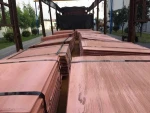 Cathode Coppers Pure Origin Grade Place 99.99%