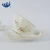 Import Ceramic Drinkware bone china cup saucer set European Style coffee cup gold edge afternoon tea cups from China