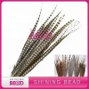 Cheap dyed pheasant feathers for sale