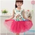 Import Child baby Dress Model Girl Summer Tutu Frock Skirt Baby Party Dress from China